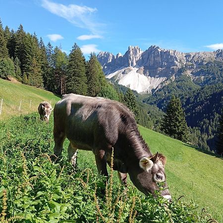 Zimmererhof Брессаноне Екстер'єр фото